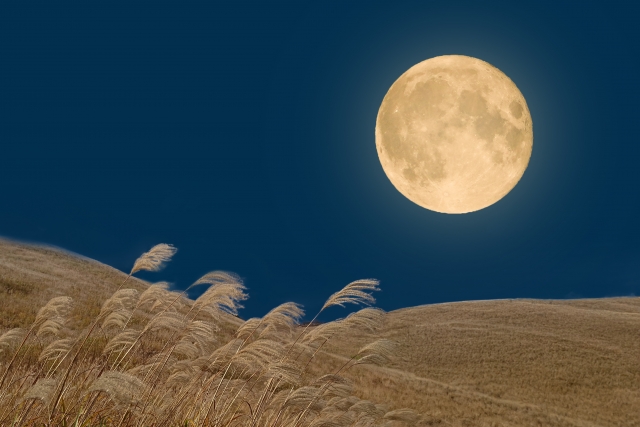 節税と脱税の違いとは？