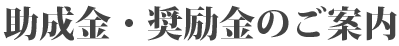 助成金・副所長　プロフィール