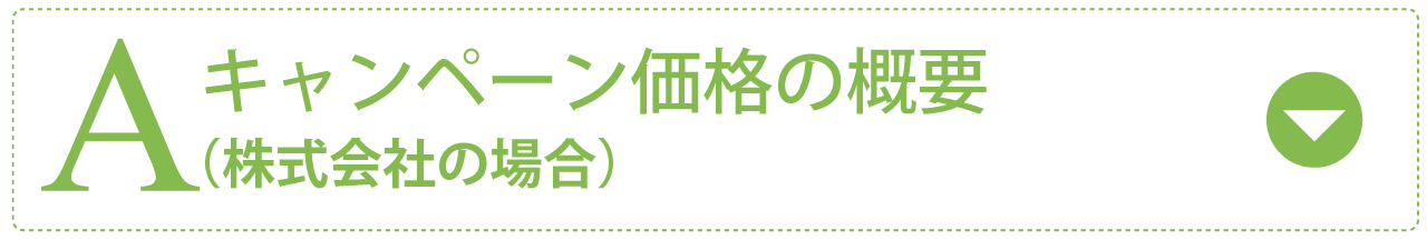 キャンペーン価格の概要